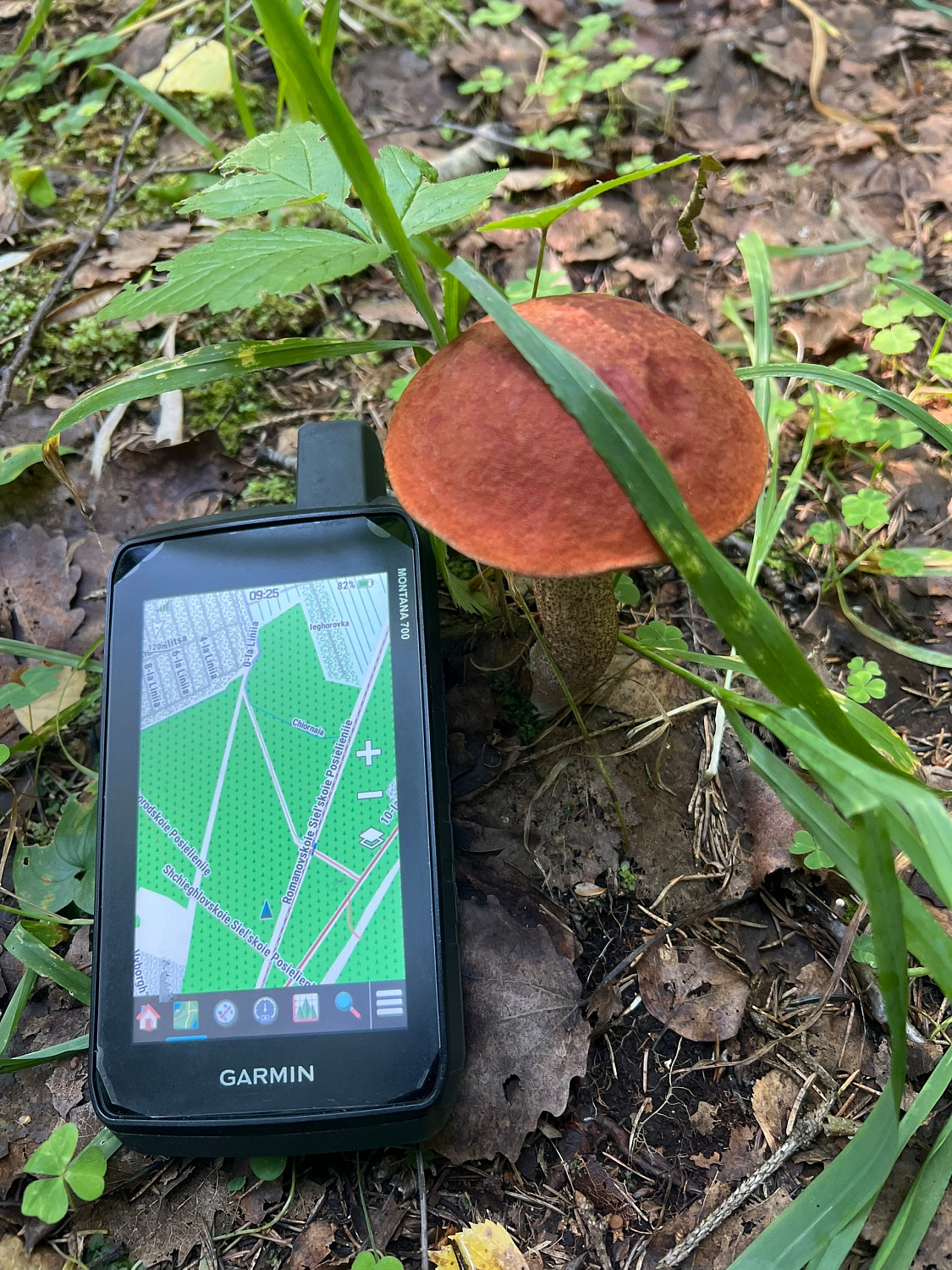 Ремонт навигатора Garmin Montana 700.